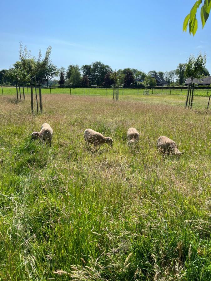 Weijdeblik Holiday home *